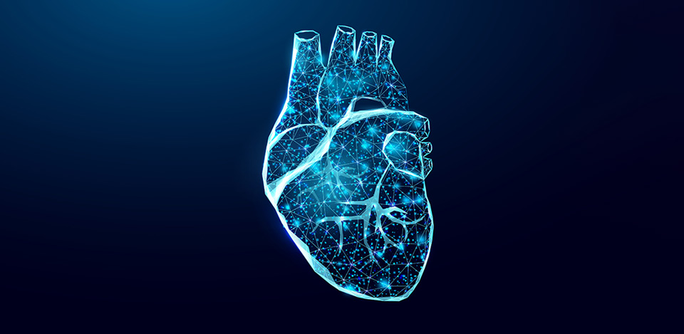 Cardiology