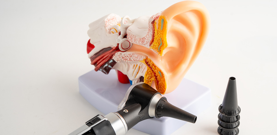 ENT (Ear, Nose, Throat)