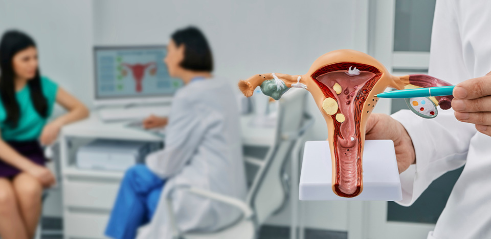 Gynaecology & Gynae-Oncology