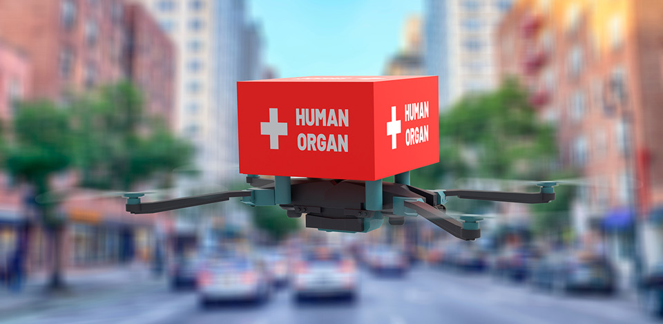 Organ Transplants